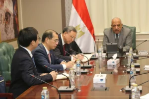 وزير الكهرباء يبحث مع مجموعة “China Energy” و”EPPEI” تعزيز التعاون فى دمج الطاقة المتجددة ومرونة الشبكة