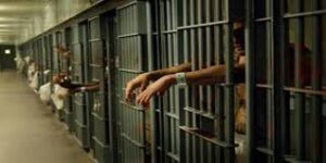 الحبس 3 سنوات للمتهم بقيادة سيارة تحمل علم إسرائيل فى كرداسة