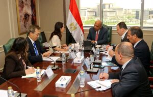 وزير الكهرباء يبحث مع الوكالة اليابانية للتعاون الدولى دعم الشراكة في مجالات الطاقة المتجددة