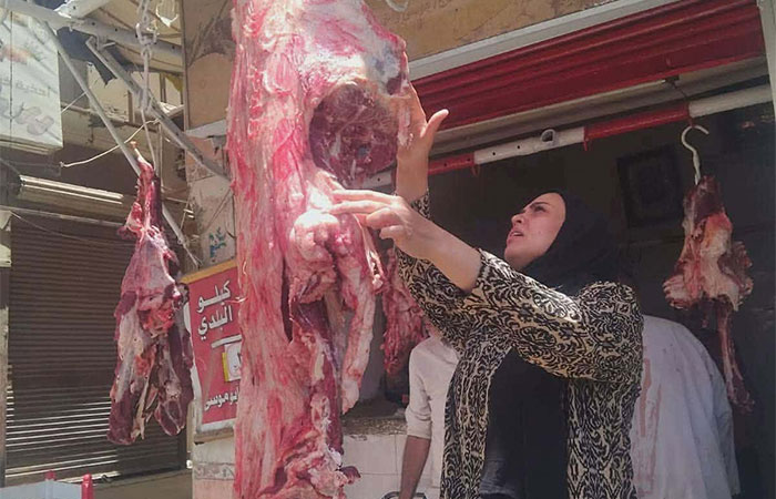 بيطري المنيا: ضبط ومصادرة أكثر من نصف طن لحوم غير صالحة ومذبوحة خارج المجازر