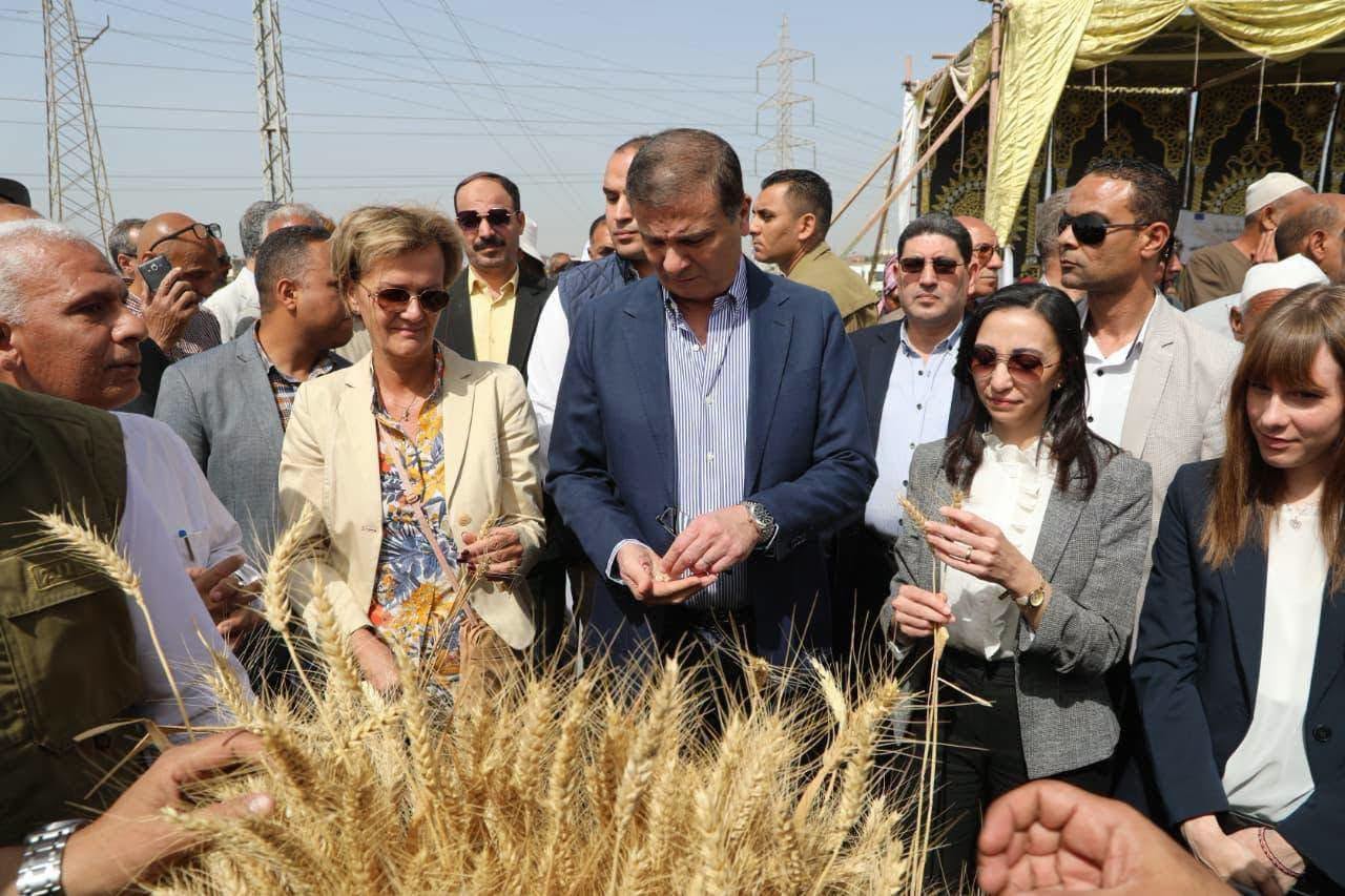 إنجازات زراعية غير مسبوقة في مصر خلال 12 عامًا.. توسع في الإنتاج وتعزيز للأمن الغذائي