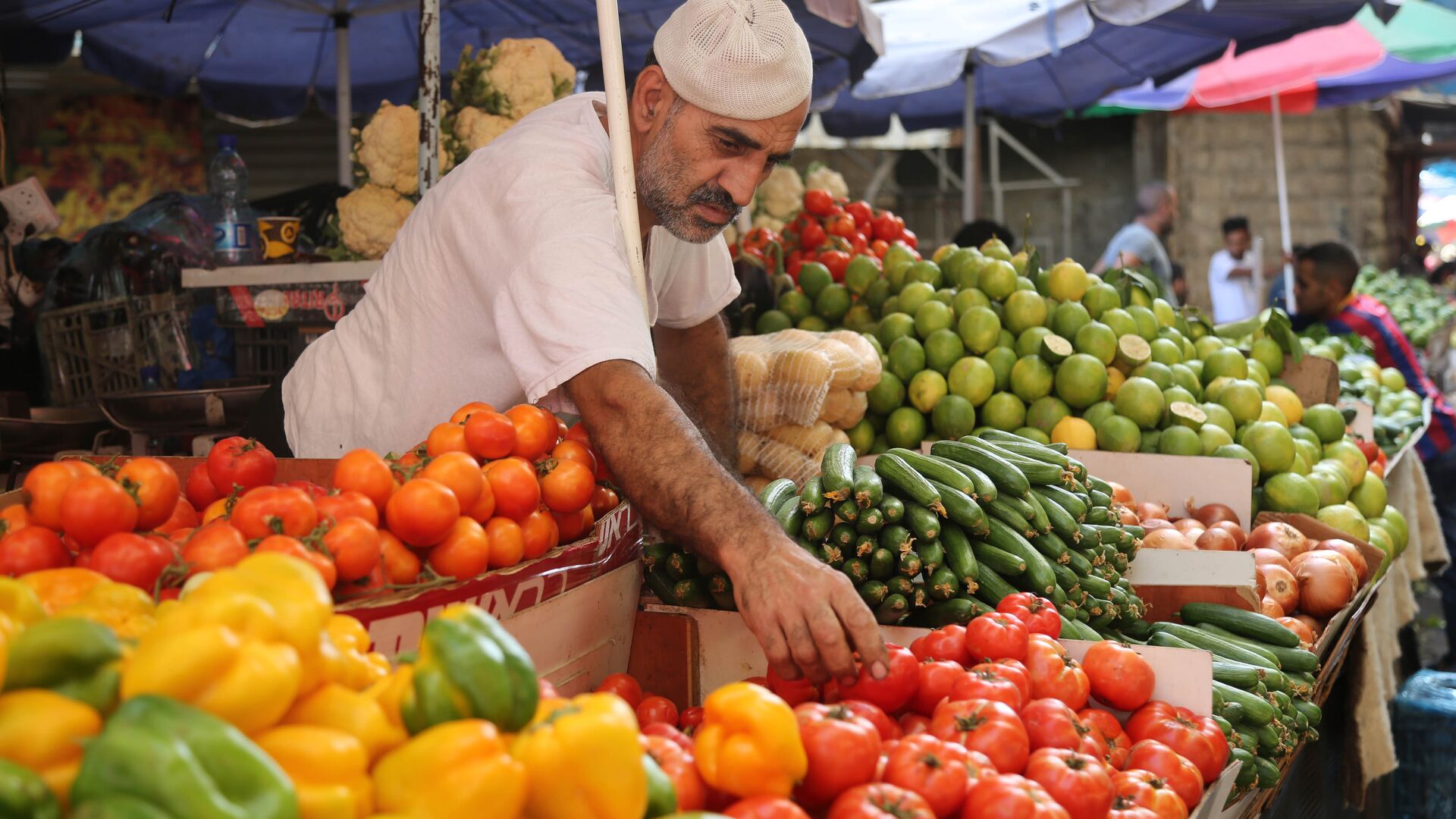 استقرار أسعار الخضروات والفاكهة اليوم السبت د في الأسواق