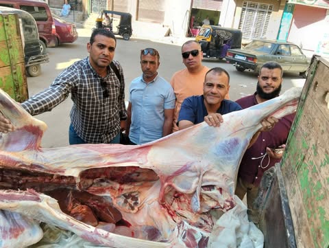 ضبط عجل مذبوح خارج المجازر الحكومية ومصاب باليرقان في منفلوط بأسيوط