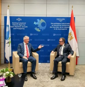 وزير التخطيط: البرنامج القُطري مع OECD يدعم التنمية المستدامة بمصر