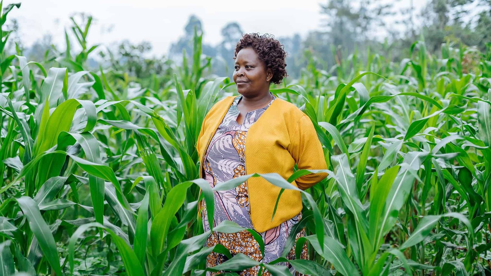 ARAF announces $90 million in committed capital to continue scaling climate-resilient agriculture across Africa