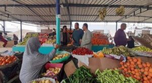 أسعار الخضروات والفاكهة بالأسواق اليوم