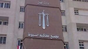 بسبب خصومة ثأرية.. السجن المشدد 15 عامًا لمتهم بقتل سيدة بأسيوط