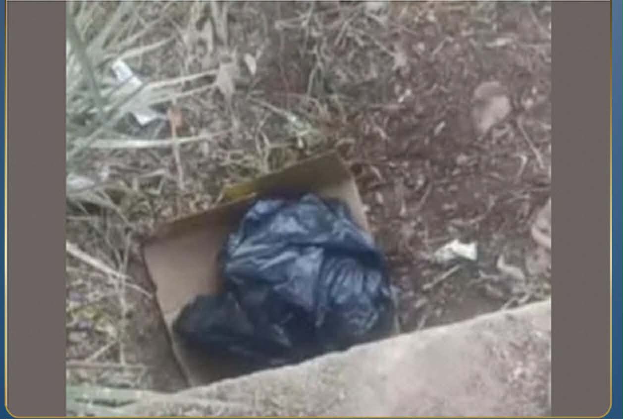 العثور على جثمان طفل حديث الولادة بجوار أحد الكباري بأسيوط 