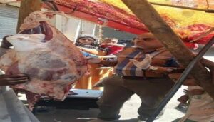 ضبط لحوم وأسماك وألبان وأغذية فاسدة وإحباط محاولات للاتجار بالمواد المدعمة بالمنيا