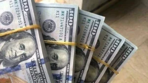 أسعار الدولار في مصر اليوم الثلاثاء