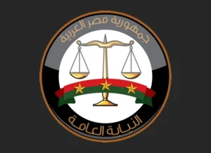 ضبط أصول بـ7.89 مليار جنيه و318 مليون دولار في قضايا غسل أموال