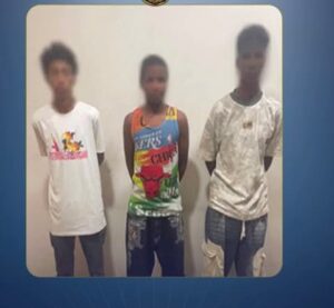 القبض على 3 طلاب لإلقائهم الحجارة على قطار أثناء مروره في أسوان