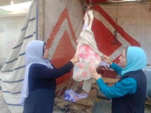 بيطري المنيا: تحرير 31 محضرًا وضبط 207 كجم لحوم ودواجن وأسماك غير صالحة للاستهلاك