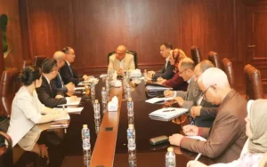 وزير الكهرباء يبحث مع مجموعة الصين الجنوبية “CSGI” التعاون الفنى لتطوير الشبكة 