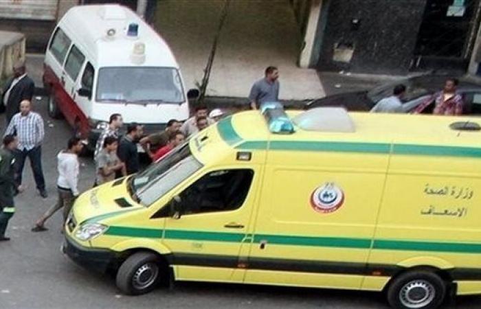 مسجل خطر ينهي حياة والده بـ”قالب طوب” في أسيوط