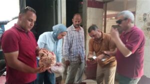 ضبط نصف طن دواجن وأسماك ولحوم غير صالحة للاستهلاك الآدمي بالمنيا
