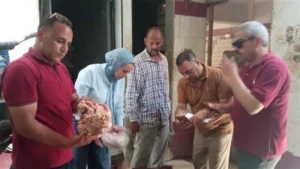 ضبط نصف طن دواجن وأسماك ولحوم غير صالحة للاستهلاك الآدمي بالمنيا