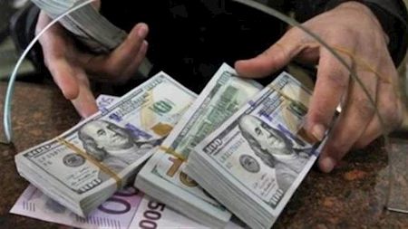 43.1 مليار دولار حصيلة تحويلات المصريين العاملين بالخارج خلال أحد عشر شهرًا